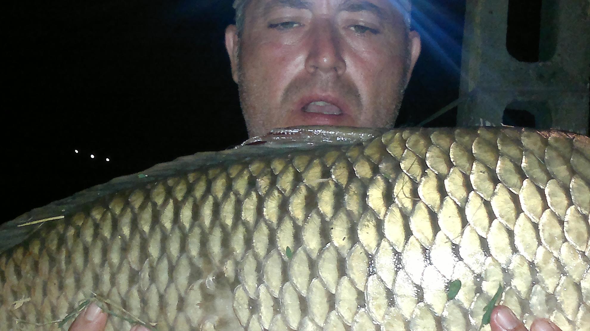 CATALIN DUTULESCU - picture-023.jpg